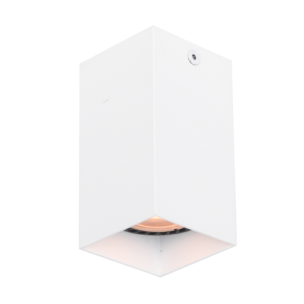 Netlighting Ander 10cm Surface Mounted Downlight White
