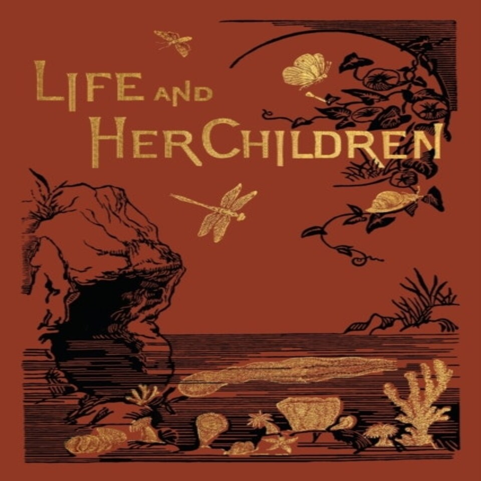 Life And Her Children