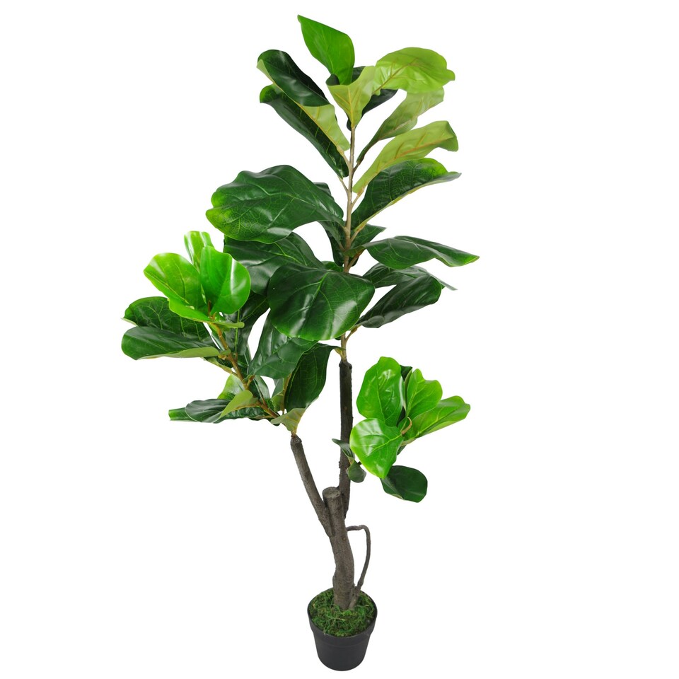 image 1 of 120cm (4ft) Large Artificial Fiddle Fig Tree Ficus Lyrata Plant Green | One Size
