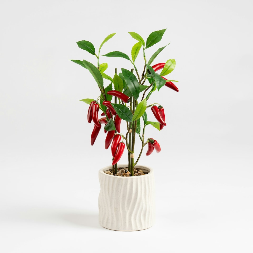 image 1 of 49Cm Chilli Plant In Ceramic Pot Green | One Size