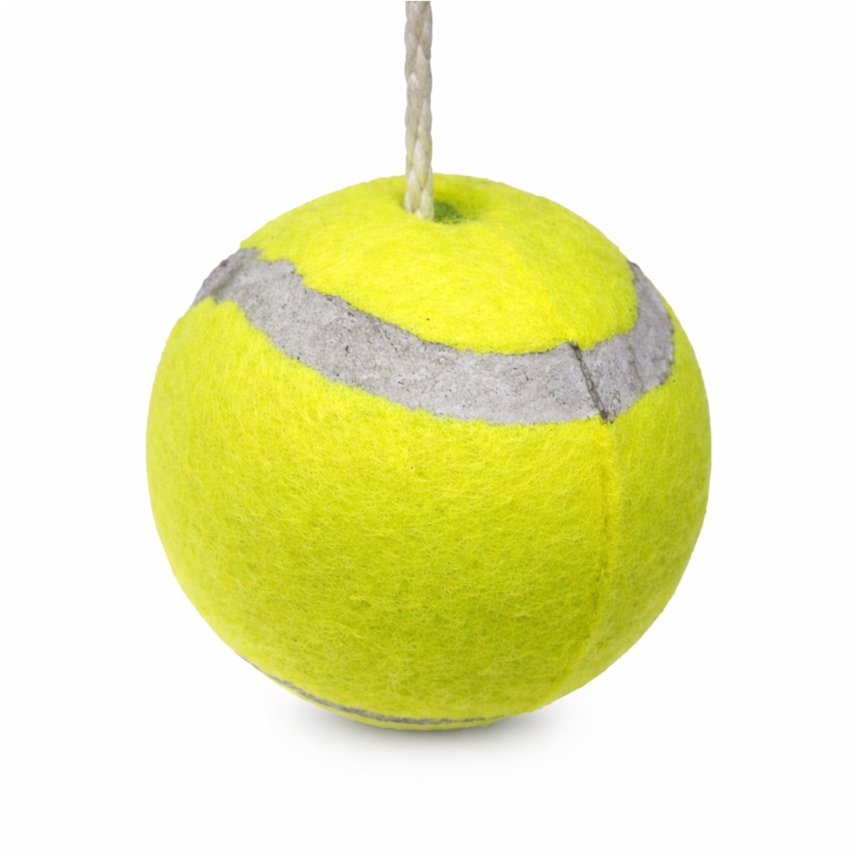 image 1 of 2 Player Garden Swing Tennis Ball & Bat Game Set