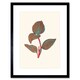 image 1 of Vintage Botanical Fittonia Leaves Nerve Plant Lover 9x7" Black Framed Wall Art Print