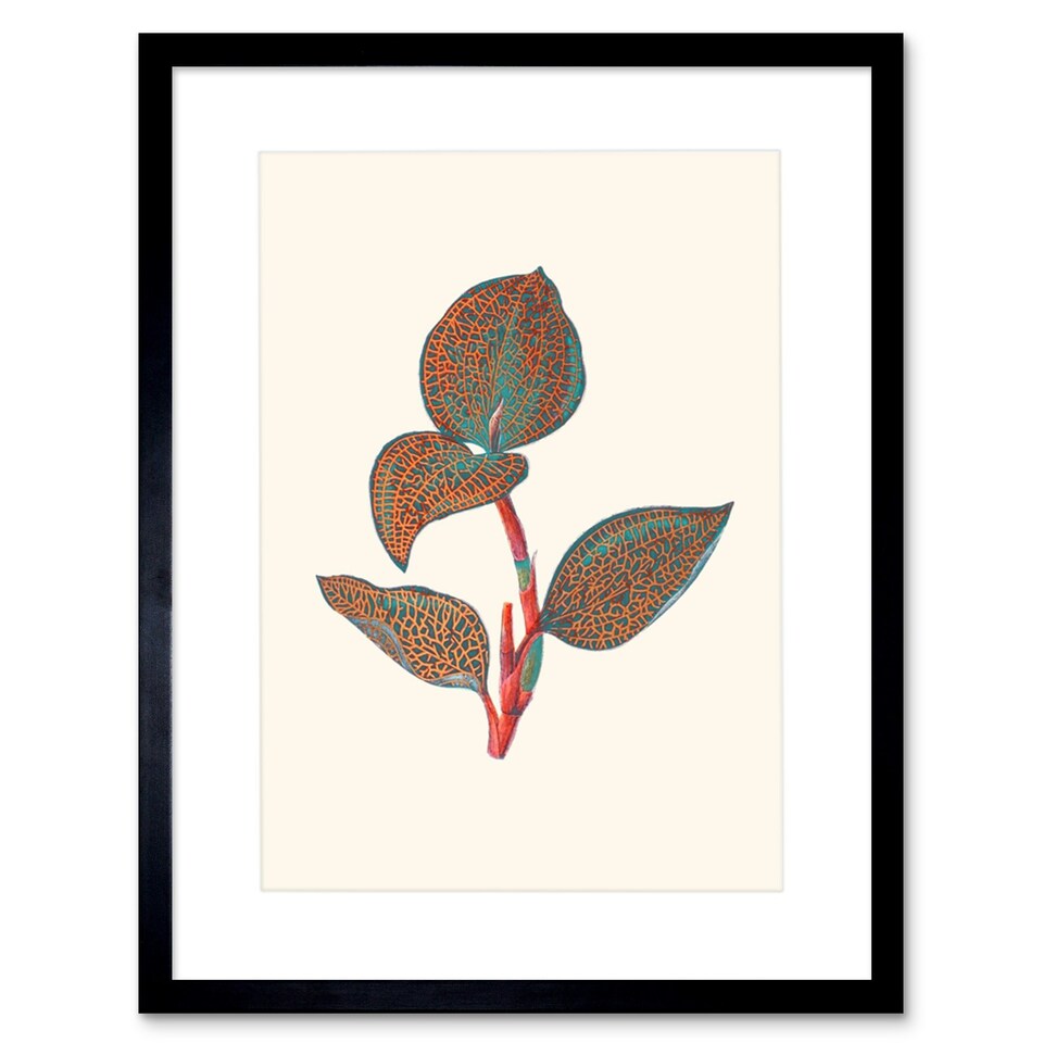 image 1 of Vintage Botanical Fittonia Leaves Nerve Plant Lover 9x7" Black Framed Wall Art Print
