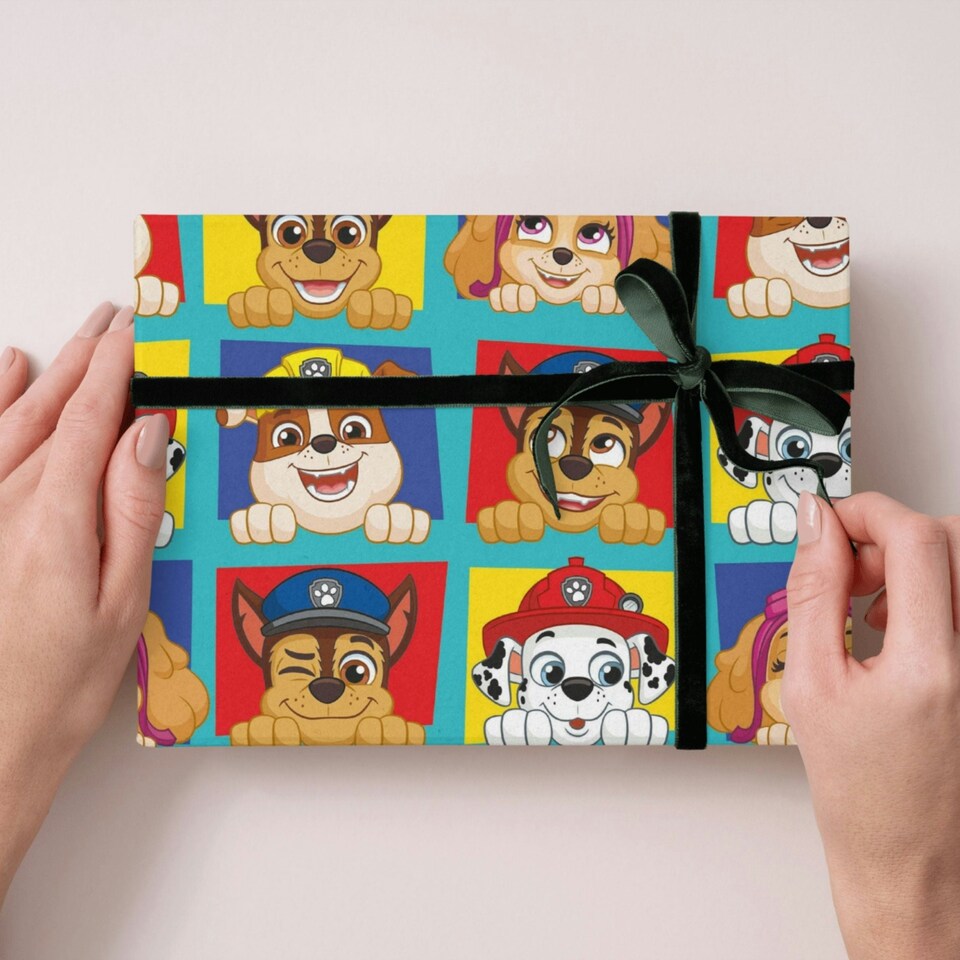 image 1 of Paw Patrol 2 Sheets & 2 Tags Gift Wrap
