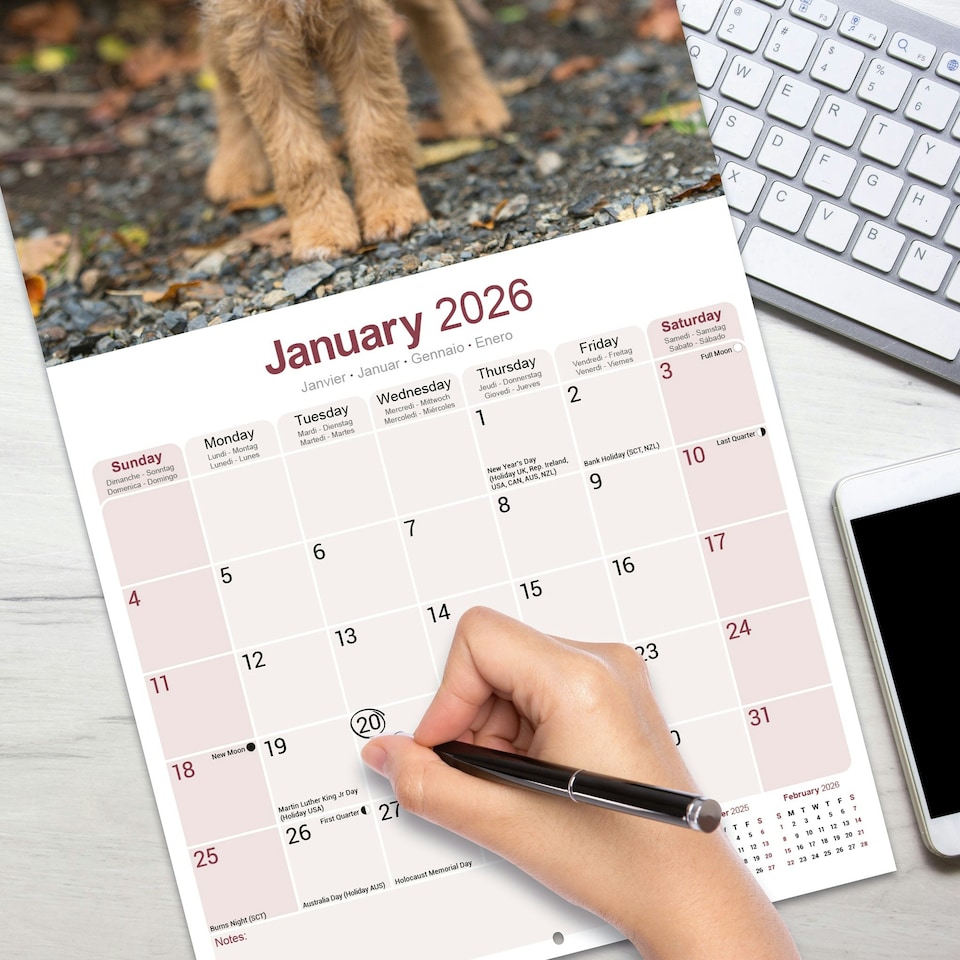 image 1 of Lakeland Terrier 2026 Calendar | Square Wall Calendar | Dog Breed Gift | Plastic Free Packaging | by Avonside Publishing