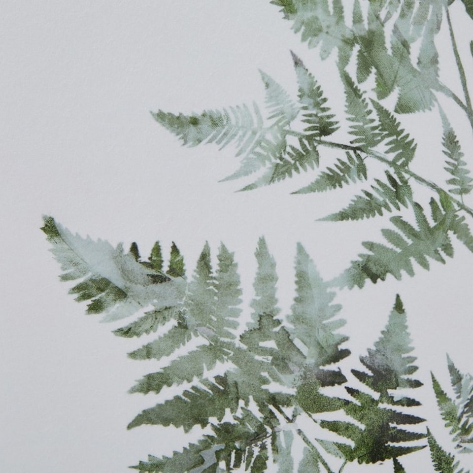 image 1 of Watercolour Bracken Fern in Frame - Washed Wood - L5 x W50 x H60 cm - Brown | Brown | Not provided