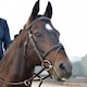 image 2 of Collegiate Comfitec Opulux Padded Leather Sch Horse Bridle | Brown | Dark Brown | Pony | 1