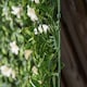 image 8 of Outsunny 12PCS Artificial Boxwood Panel Faux Rhododendron Greenery Backdrop