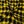 Black & Mustard