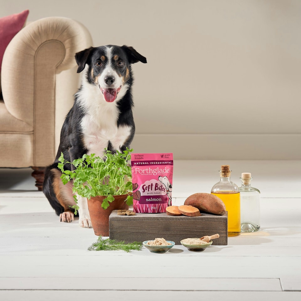 image 1 of Salmon Soft Bites Dog Treats (8x90g)