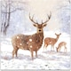 image 1 of Pack of 8 Majestic Snowy Stag In Aid Of Mind Charity Christmas Cards