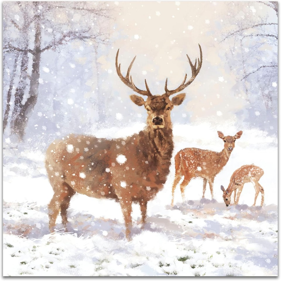 image 1 of Pack of 8 Majestic Snowy Stag In Aid Of Mind Charity Christmas Cards