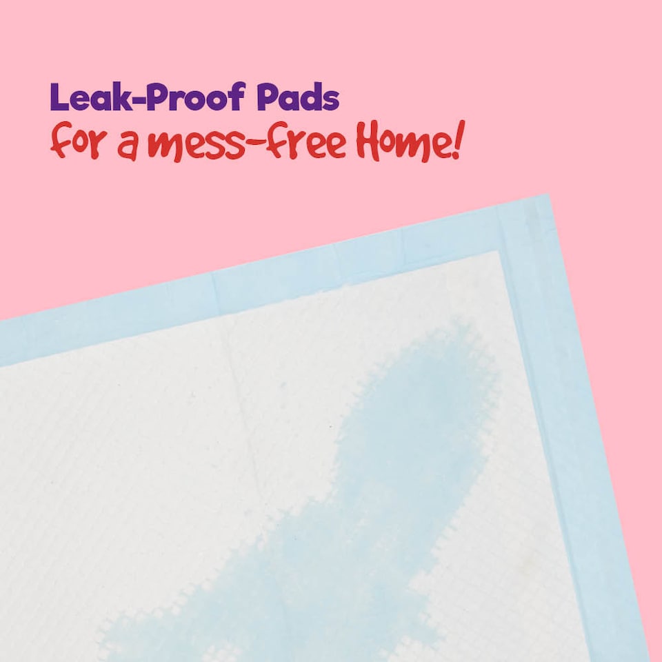 image 1 of Puppy Dog Kitten Toilet Training Pads Pack of 50 Medium