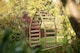 image 5 of Forest Garden Whitby Curved Wooden Garden Arch