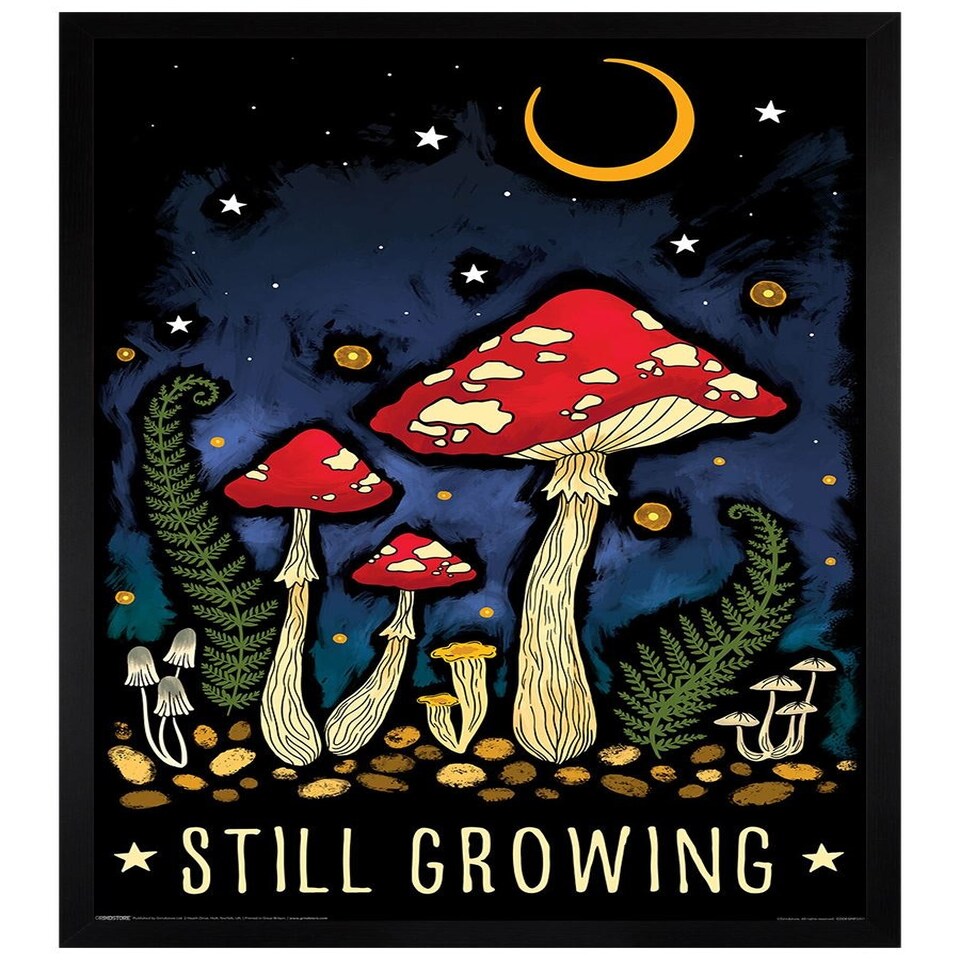 image 1 of Black Wooden Framed Magical Mushroom Still Growing Maxi Poster
