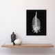 image 2 of Ernst Haeckel Framed Wall Art Print Murex Sea Shell Sketch on Black Home Décor