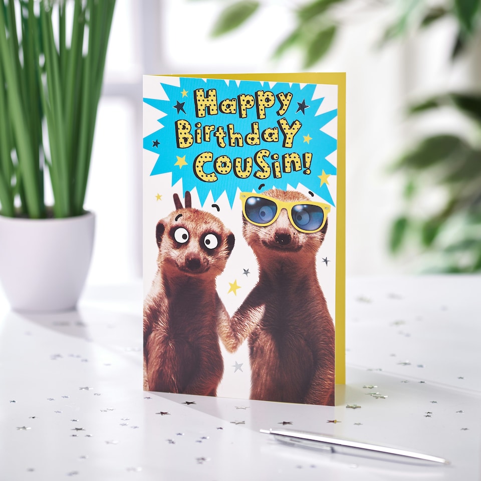image 1 of Birthday Card for Him/Cousin | Funny Meerkat Design