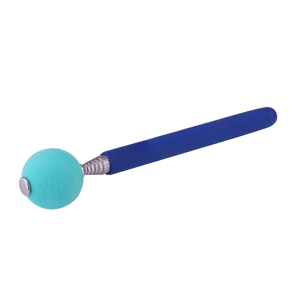 Company Of Animals Coachi Dog Target Stick - Blue/Silver - One Size