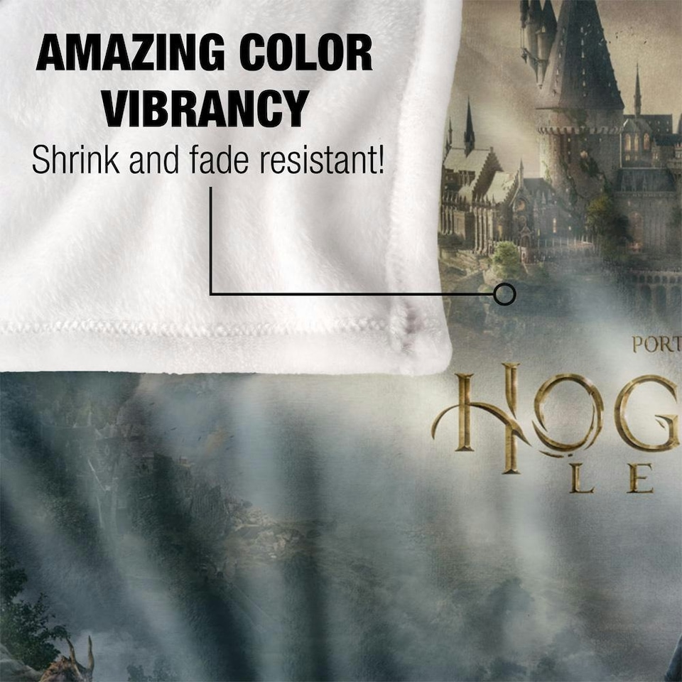 image 1 of Hogwarts Legacy Key Art Blanket - Multicoloured - One Size