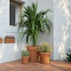 image 4 of APTA Verona 13cm Terracotta Pots (Set of 4) - Classic Indoor & Outdoor Decor