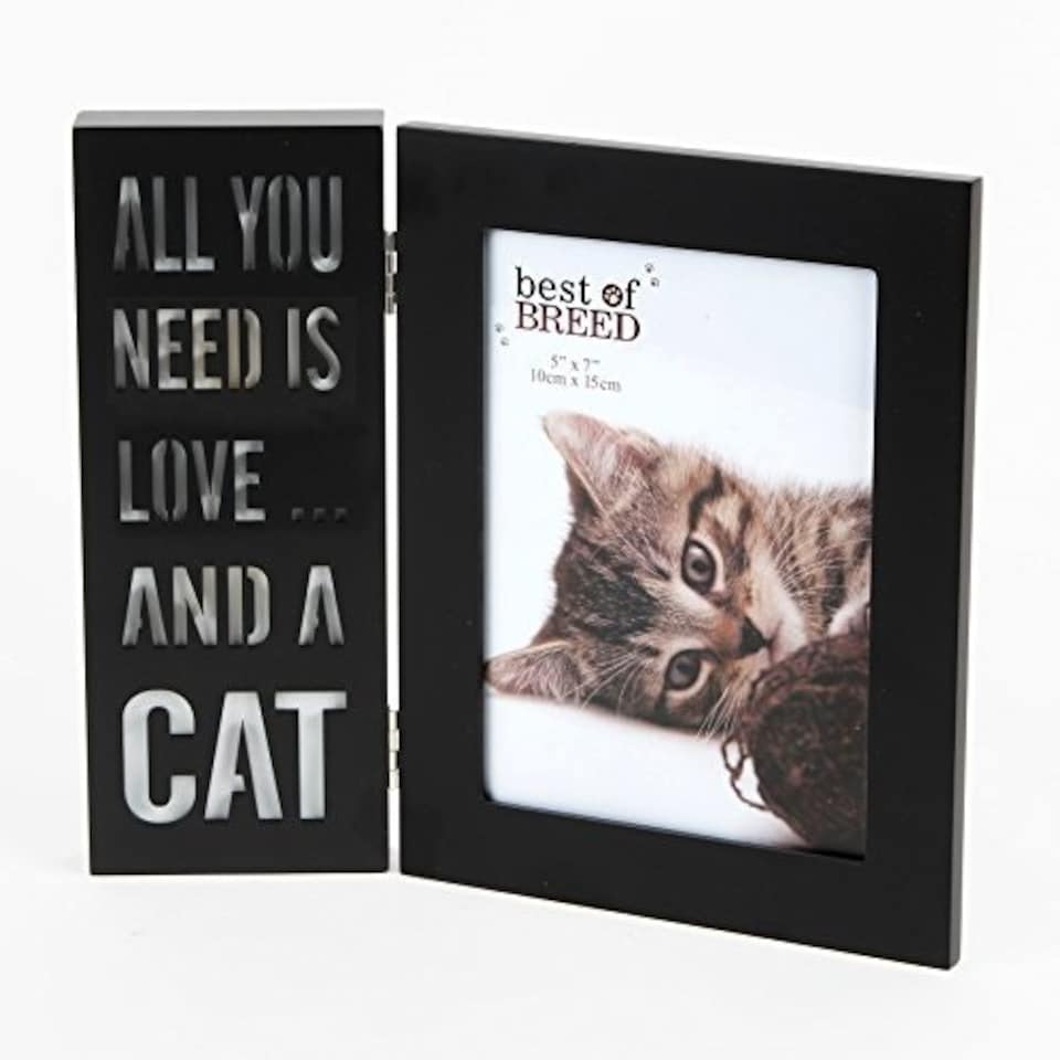 image 1 of All you need is love and a cat' LED Black Photo Frame