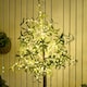 image 9 of HOMCOM 6ft Olive Tree Light with 300 Warm White LED Lights, Artificial Tree for Indoor, Party, Wedding, Christmas, Home Decoration, Green