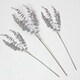 image 1 of Homescapes Eucalyptus Spray Set of 3 Stem 71cm