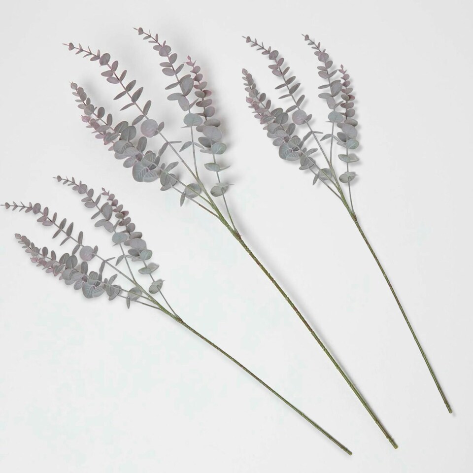 image 1 of Homescapes Eucalyptus Spray Set of 3 Stem 71cm