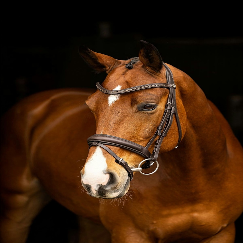 image 1 of LeMieux Arika Dressage Bridle Black | Cob
