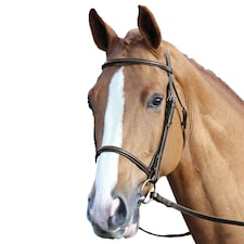 Aviemore Raised Cavesson Leather Horse Bridle - Havana - Pony