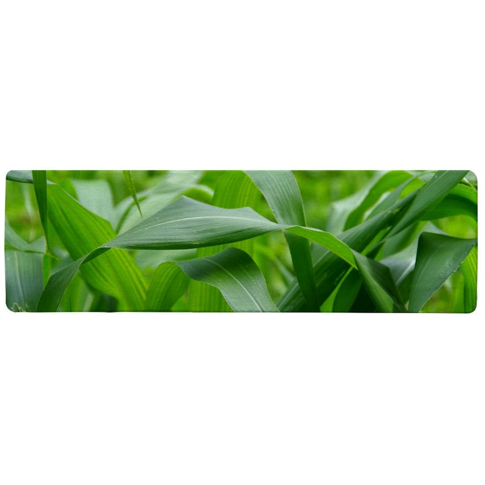image 1 of Green Leaves corn fields as background Designer (Runner Rug)