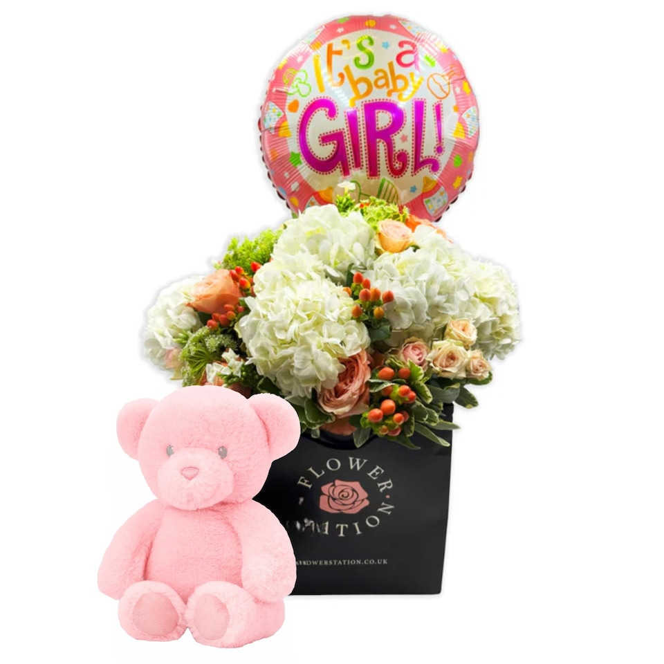 image 1 of Welcome To The World Princess