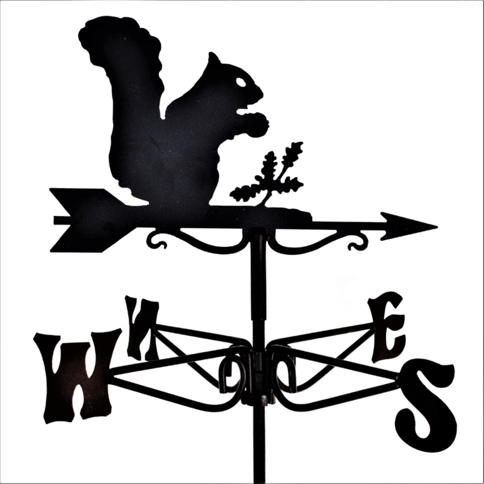 image 1 of Mini Squirrel Weathervane - Steel - L38 x W38 x H49 cm - Black