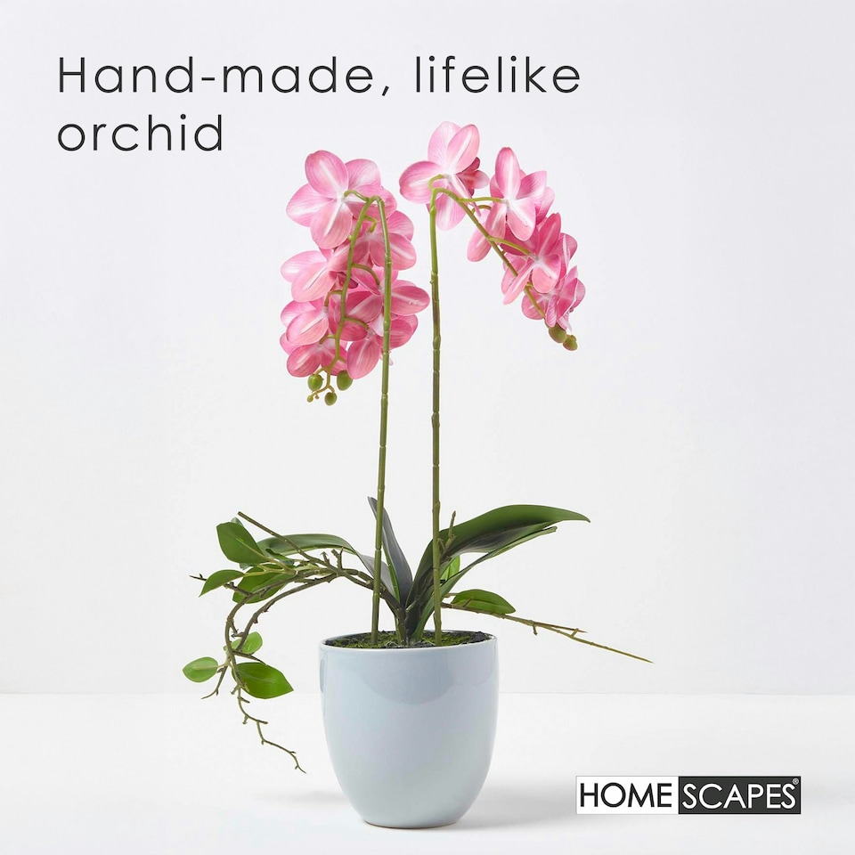 image 1 of Homescapes Pink Orchid 54 cm Phalaenopsis in Ceramic Pot