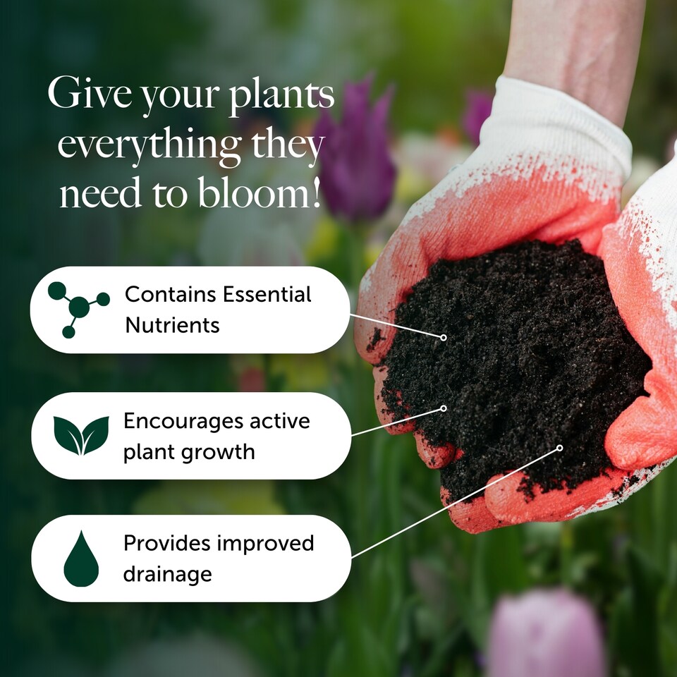 image 1 of Easy Planting Compost with 9 Month Feed - 65L - Water Less Formula - Ready to Use Compost for Fast Establishment