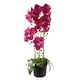 image 1 of 110cm Large Pink Orchid Plant - Artifcial - 41 REAL TOUCH flowers
