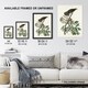image 3 of Birds of America Pigeon Hawk Audubon Nature Framed Wall Art Print 12X16"