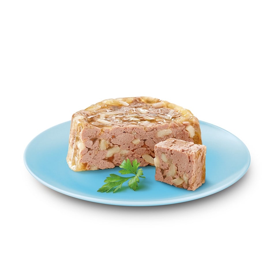image 1 of Cesar Senior 10+ In Delicate Jelly 24 x 150g