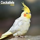 image 1 of Cockatiels 2026 Calendar | Square Wall Calendar | Bird Gift | Plastic Free Packaging | by Avonside Publishing