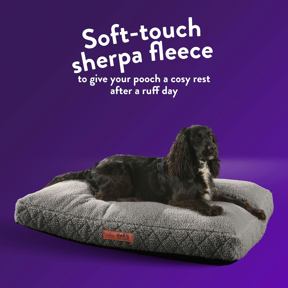 image 1 of Paws for Slumber Sherpa Pet Bed Cover, Light Grey, Large