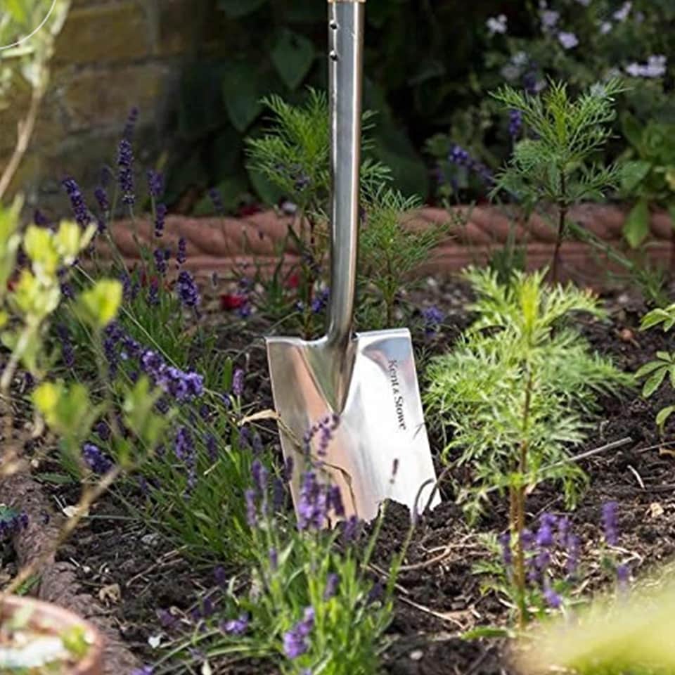 image 1 of Kent & Stowe Stainless Steel Border Spade Rust Resistant FSC Certified For Gardening | Multi | 1 x Border Spade | 1