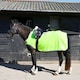 image 3 of Rhinegold Fixed Chest Waterproof Ride On Rug Blue | Size: 5ft 3
Colour: Navy