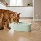 image 1 of Cat Mate 800ml Ceramic Pet Water Fountain Sage Green (800USG) | Green