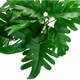 image 2 of 50cm Artificial Trailing Philodendron Large Leaf Plant Realistic
