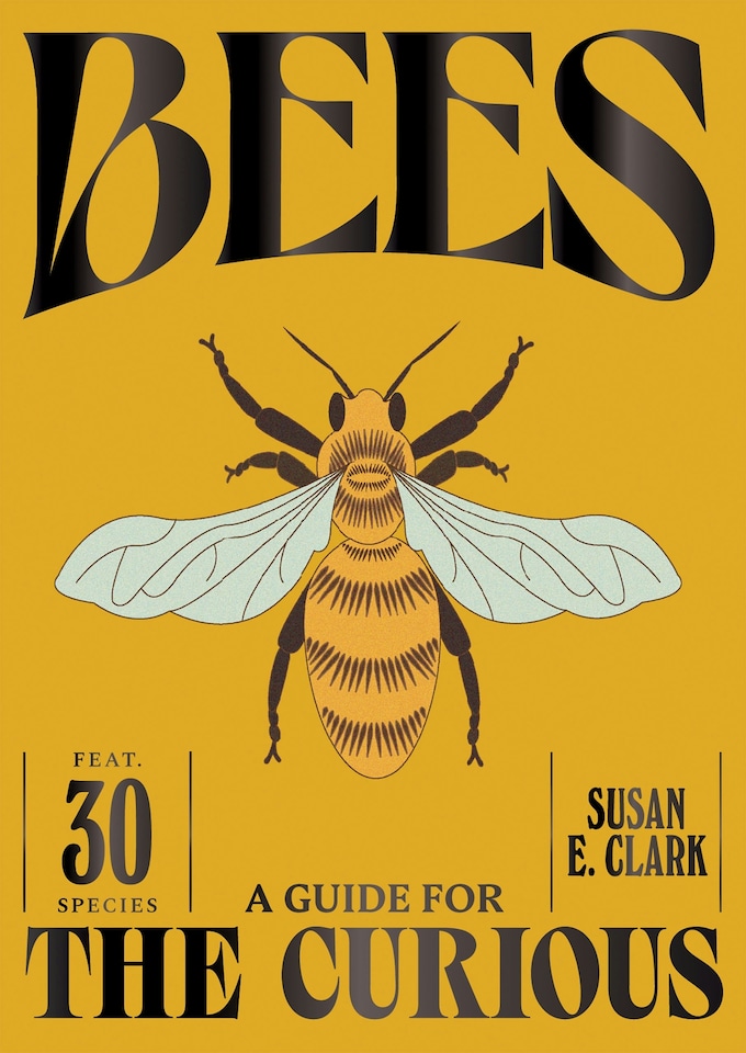 image 1 of Bees: A Guide For The Curious