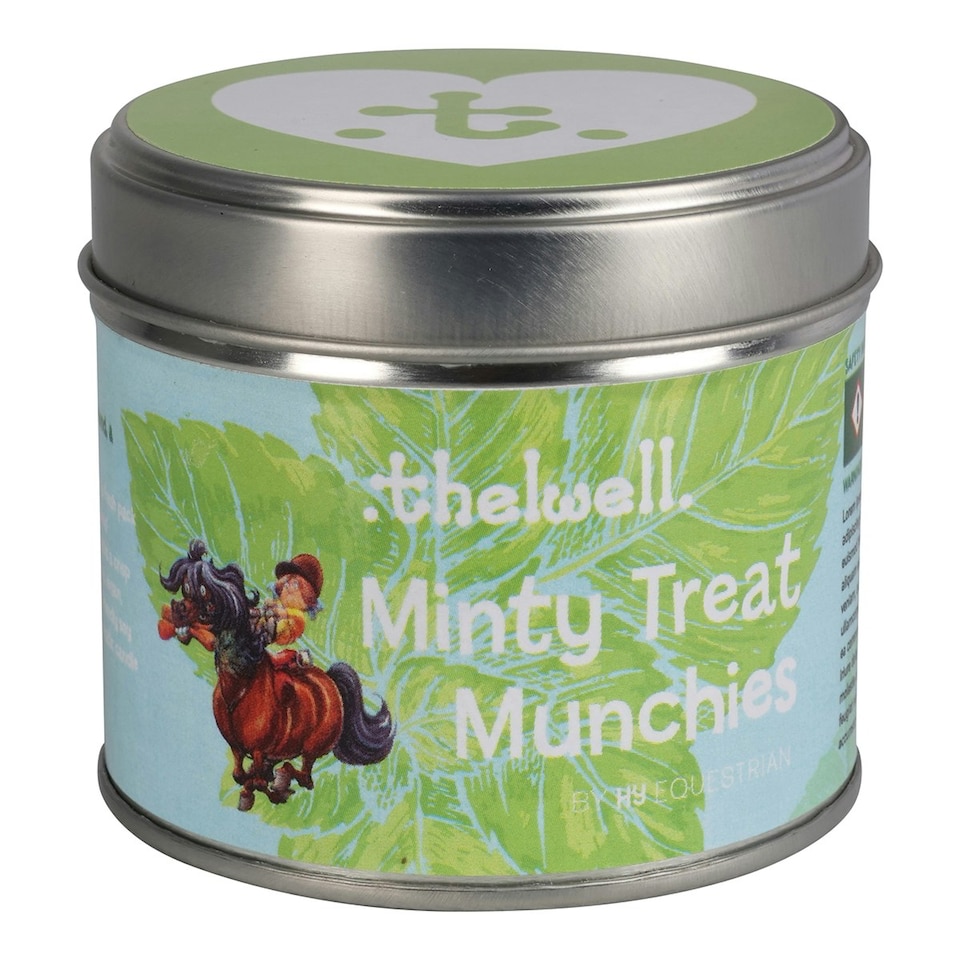 Thelwell Minty Treat Munchies Scented Candle - Green - One Size
