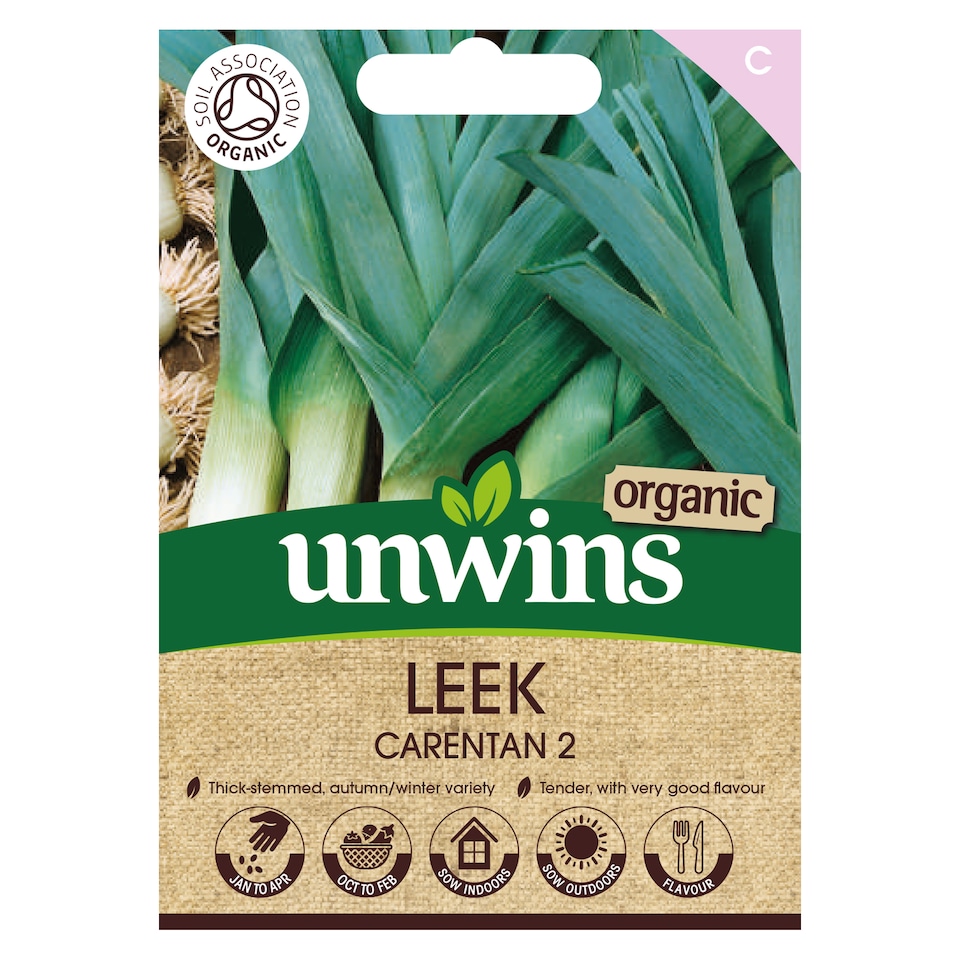 image 1 of Leek Carenten 2 (Organic) | Multi | Green