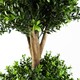 image 2 of Buxus Triple Ball Artificial Tree UV Resistant Outdoor Topiary  120cm Botanik | Green | One Size