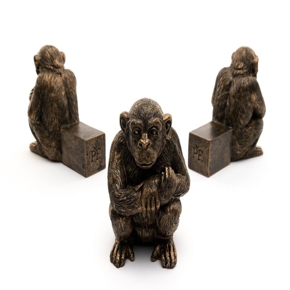 image 1 of Chimpanzee Plant Pot Feet - Set of 3 - L9.5 x W6.5 x H9 cm Grey
