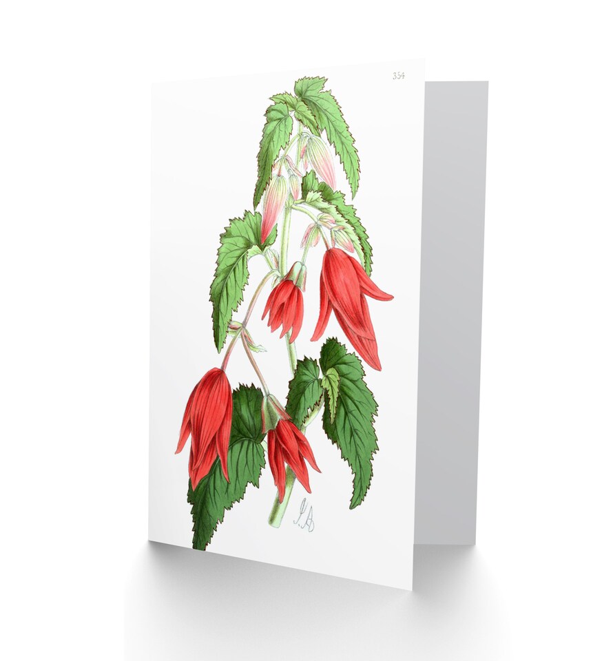 image 1 of Flower Red Green Pointed Bell Greetings Card